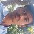 Krishan, 56, Plymouth South West United Kingdom