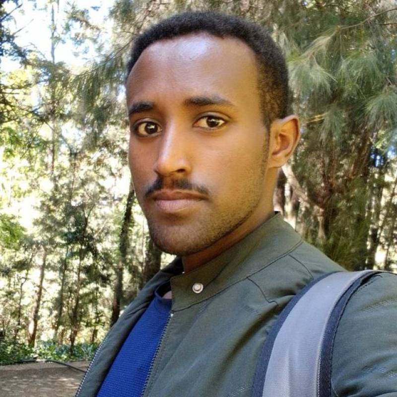 Kelemewerk, 32, Addison TX