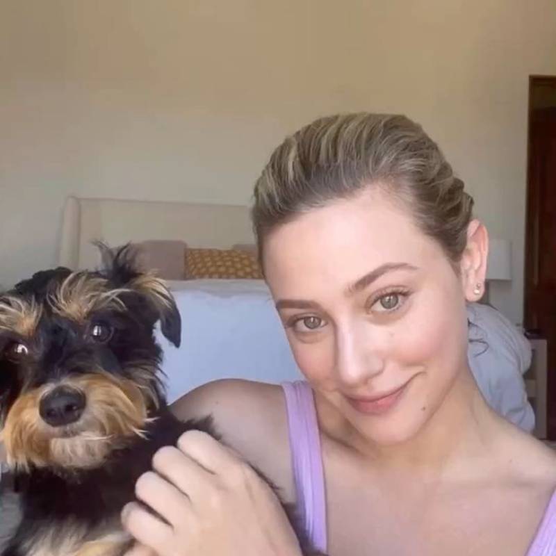 harriet, 44, Netherlands