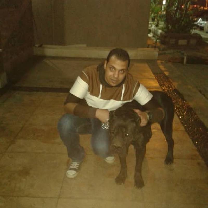 https://fivedate.com dating Achraf007 in Egypt