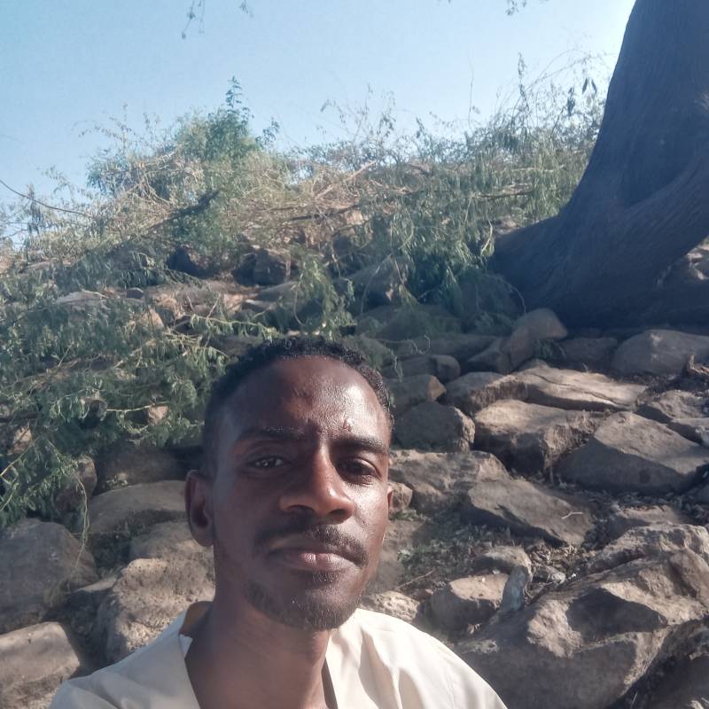 https://fivedate.com dating Sudan❤️eagle in Sudan