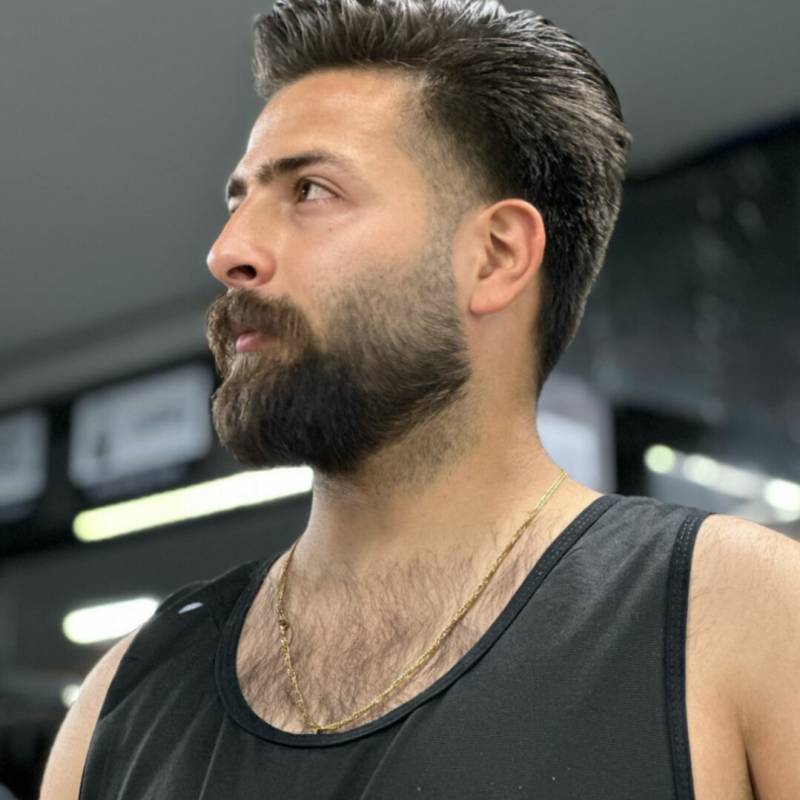 Amir_Mirzaie12 dating